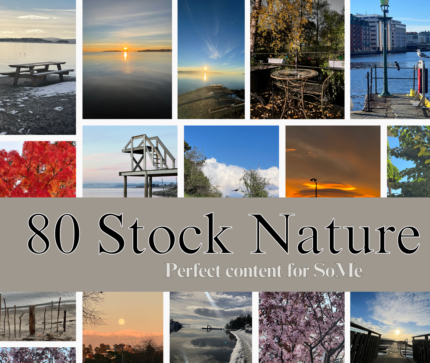 Stock Nature